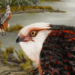 Oldest Known Australian Eagle Fossil Discovered