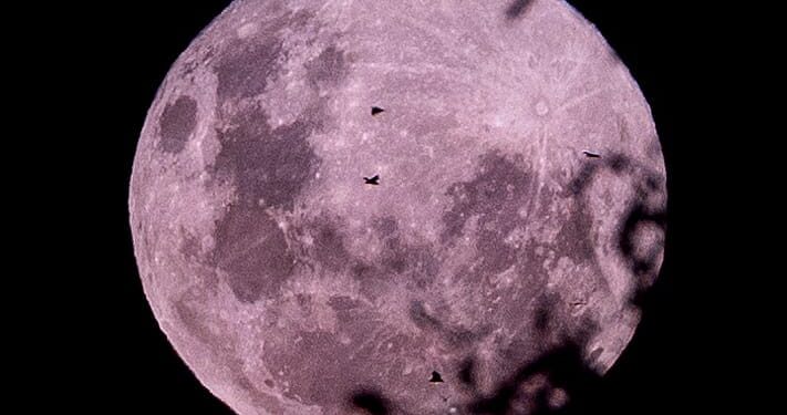 plants on the moon
