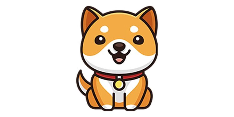 Baby Doge Cryptocurrency Hit New Record As It Reaches 1,275,000 Holders