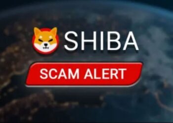 Beware Of The ShibaSwap Scam Shib Investors