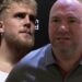 Jake Paul To Drop A Diss Track About UFC Boss Dana White As Feud Intensifies