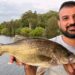 dead fish