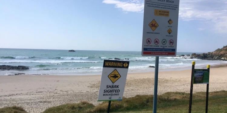 NSW