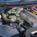 Snakes