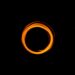 Black Holes