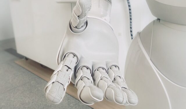 Robotic Pets