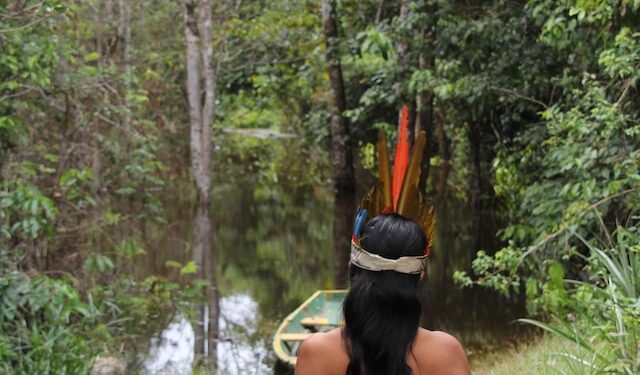 Indigenous