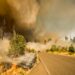 Wildfire