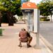 back of a man sitting by a payphone