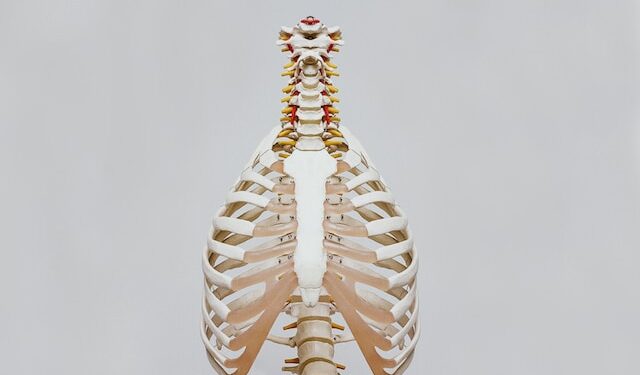 Skeletons