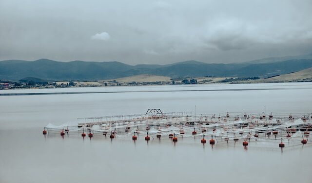 Aquaculture