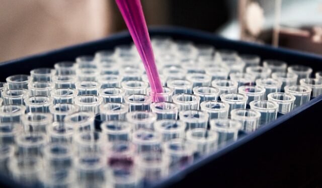 Fungi And Bacteria