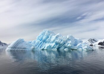 Antarctic Tourist