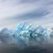 Antarctic Tourist
