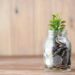 a glass jar filled with coins and a plant