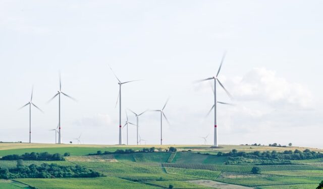 WA offshore wind feasibility licences